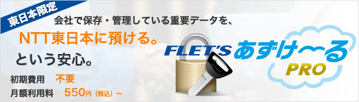 Ntt フレッツ あずけ るproプラン案内申込受付