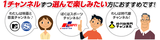 1チャンネルずつ選んで楽しみたい方におすすめです