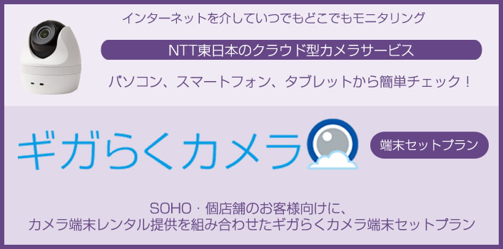 Ntt ギガらくカメラ端末セットプラン 東日本 申込受付 Ntt東日本のクラウド型カメラサービス